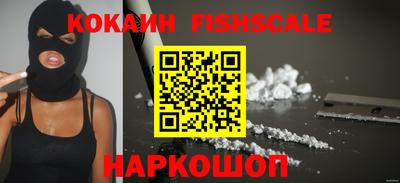 гидра Тавда