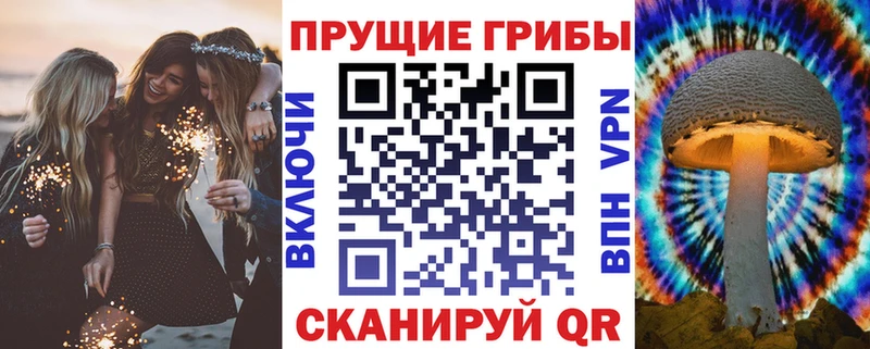 наркота  Великий Устюг  кракен как войти  Псилоцибиновые грибы Psilocybine cubensis 