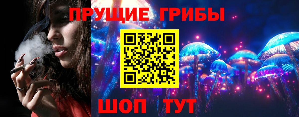 Галлюциногенные грибы MAGIC MUSHROOMS Великий Устюг